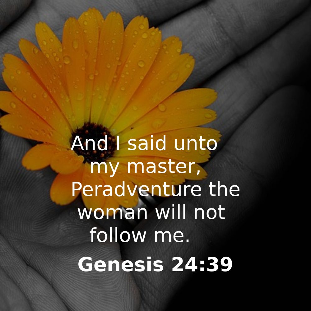 Genesis 24:39 - Bibleverses.net