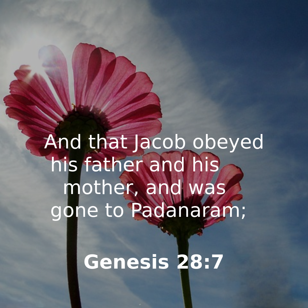 Genesis 28:7 - Bibleverses.net