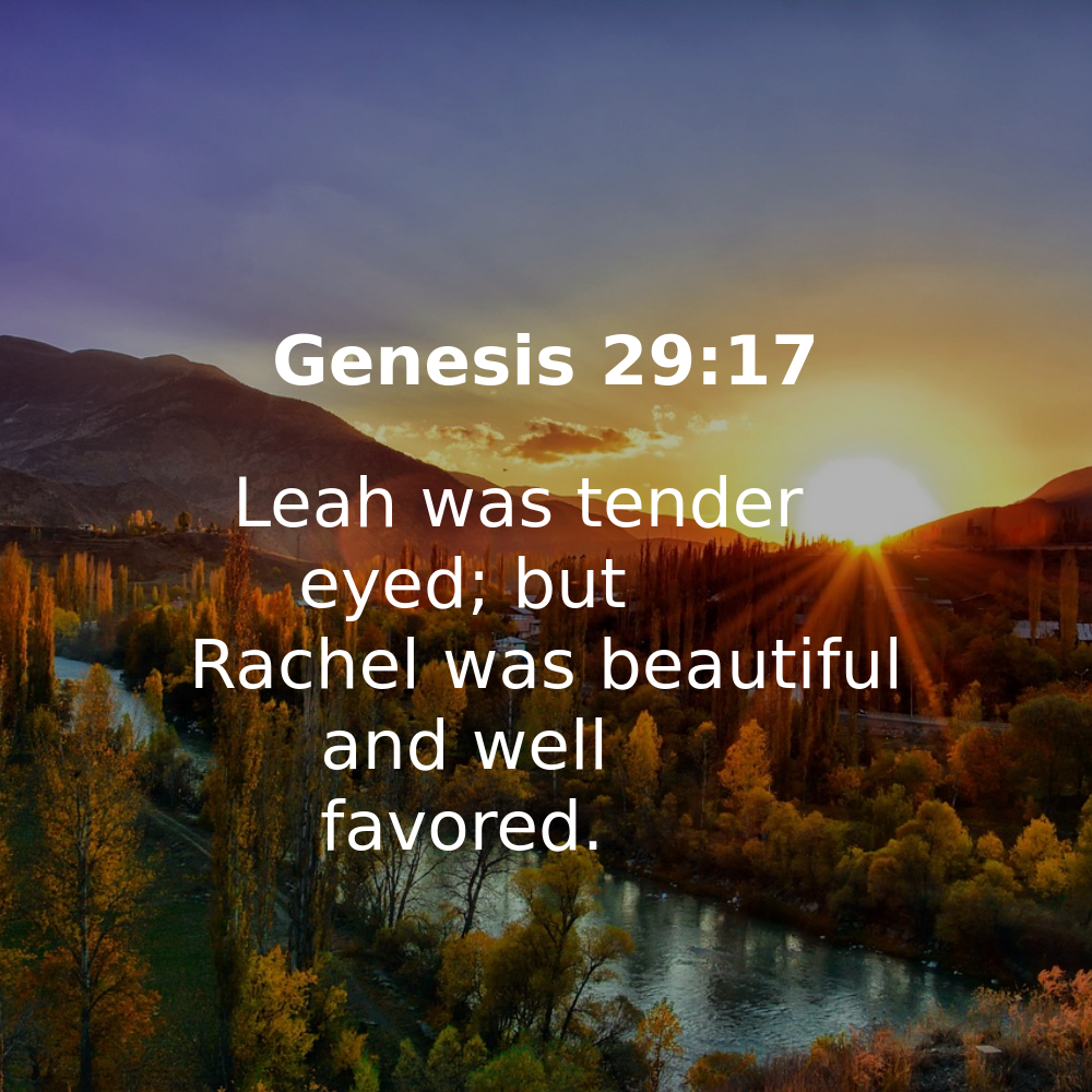 Genesis 29:17 - Bibleverses.net