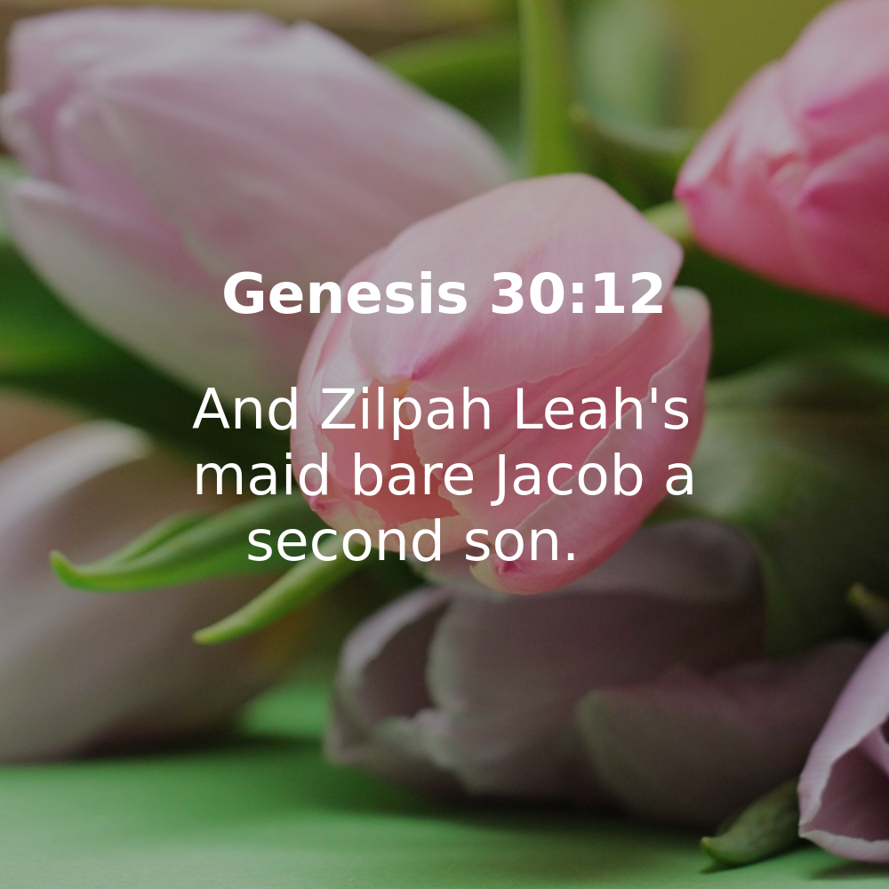 Genesis 30:12 - Bibleverses.net