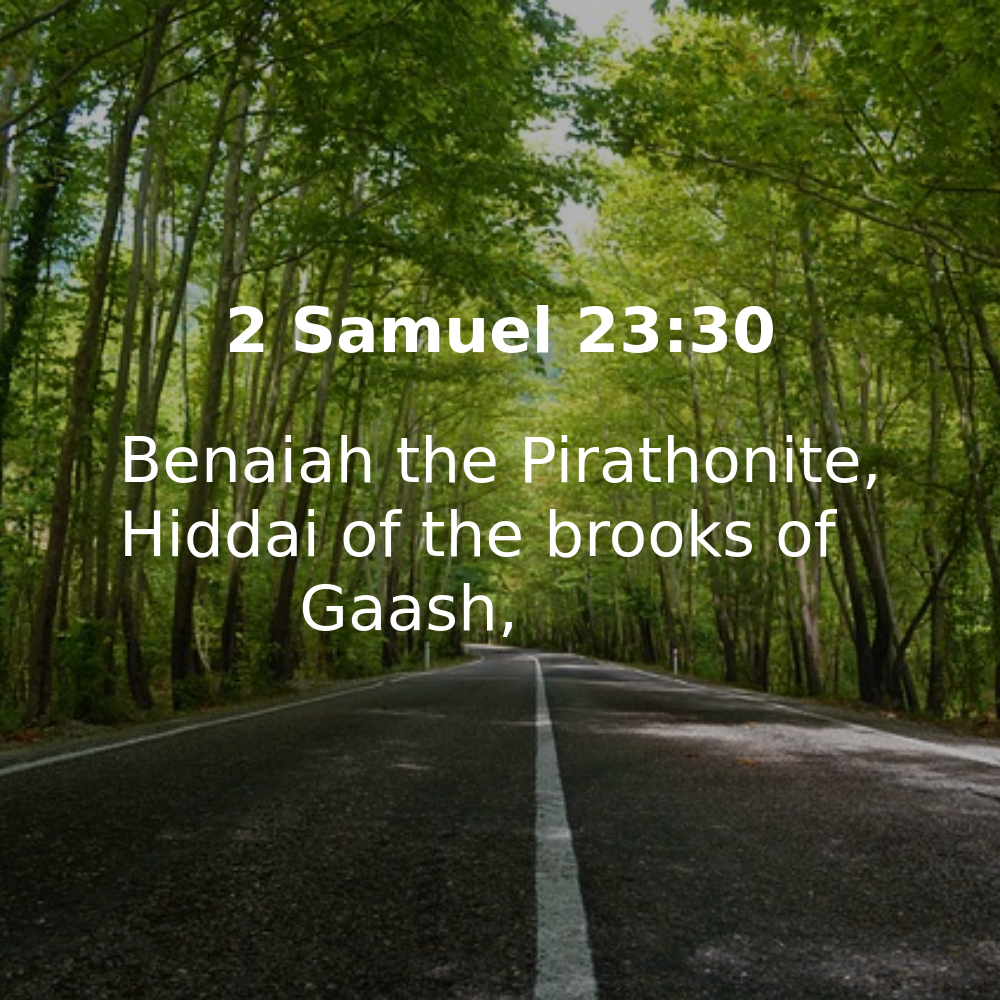 January 17 2024 Daily Bible Verse Bibleverses Net   10 23 30 