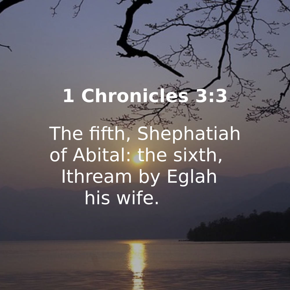 1 Chronicles 3:3 - Bibleverses.net