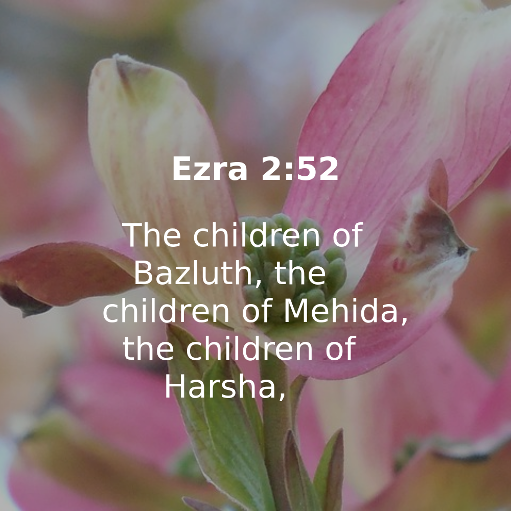 Ezra 2:52 - Bibleverses.net