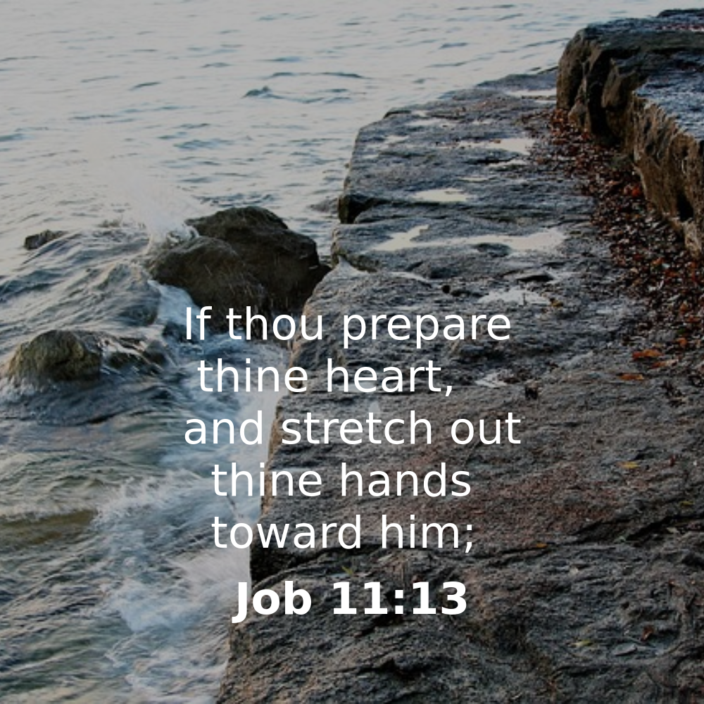 Job 11:13 - Bibleverses.net