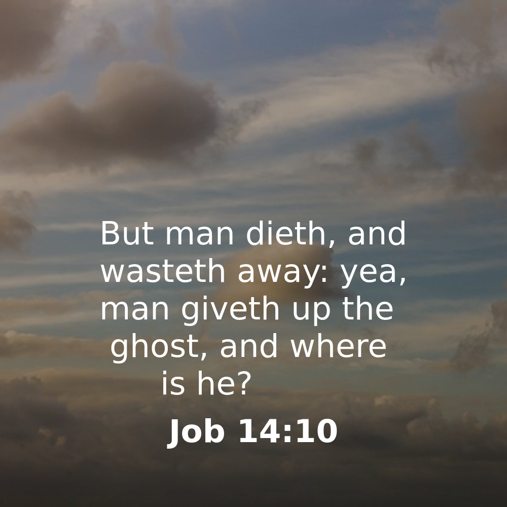 Job 14:10 - Bibleverses.net