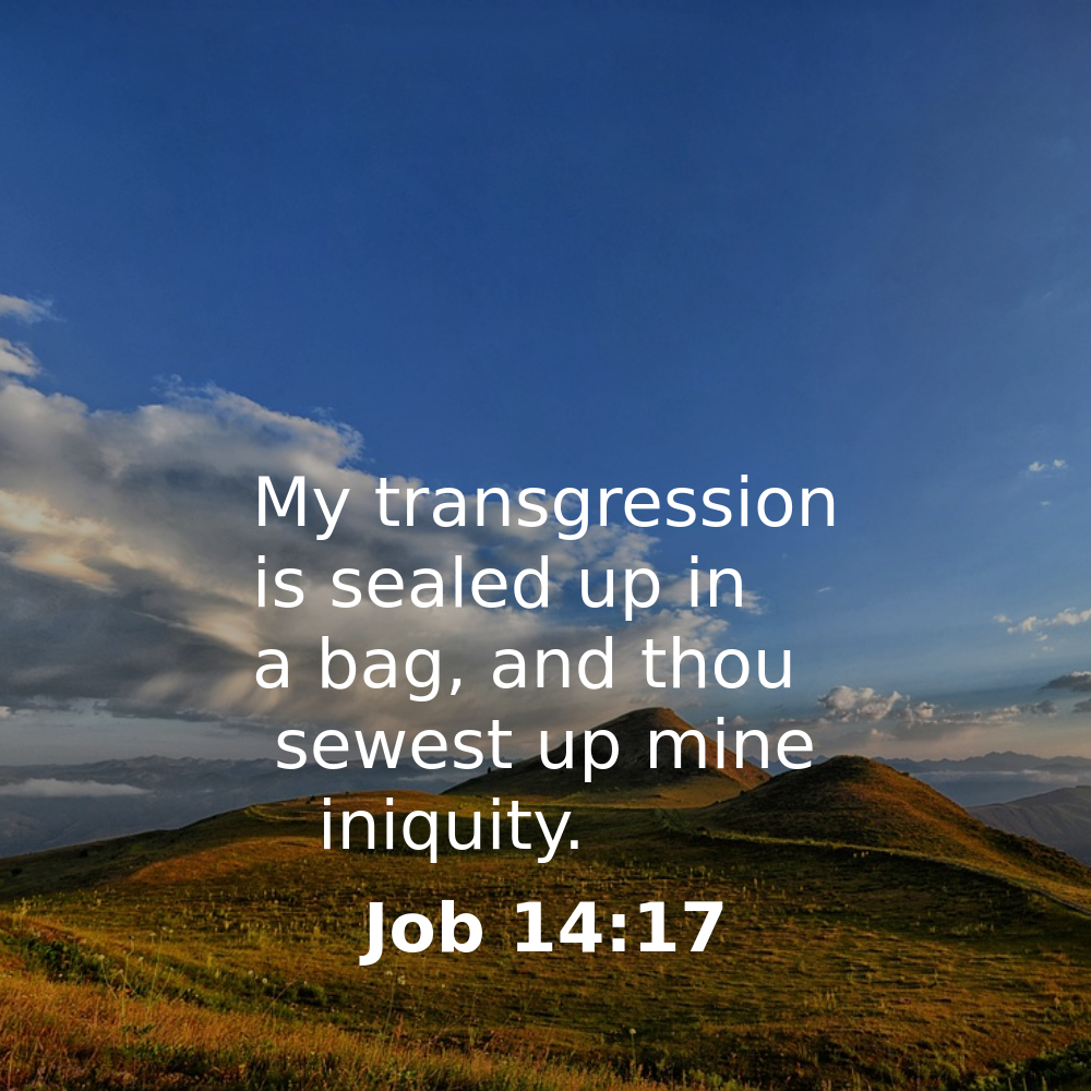 Job 14:17 - Bibleverses.net