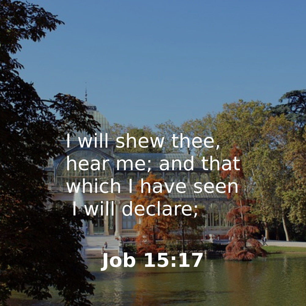 Job 15:17 - Bibleverses.net