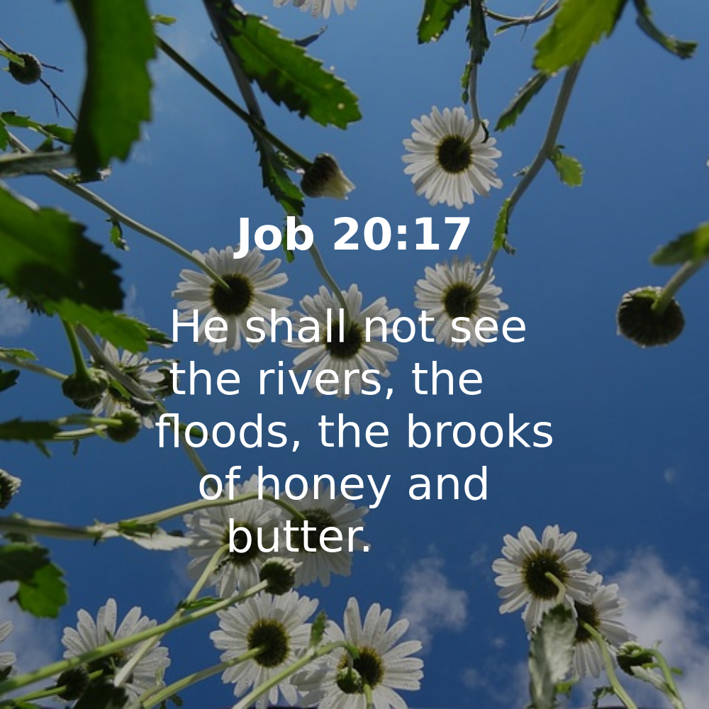 January 21 2024 Daily Bible Verse Bibleverses Net   18 20 17 