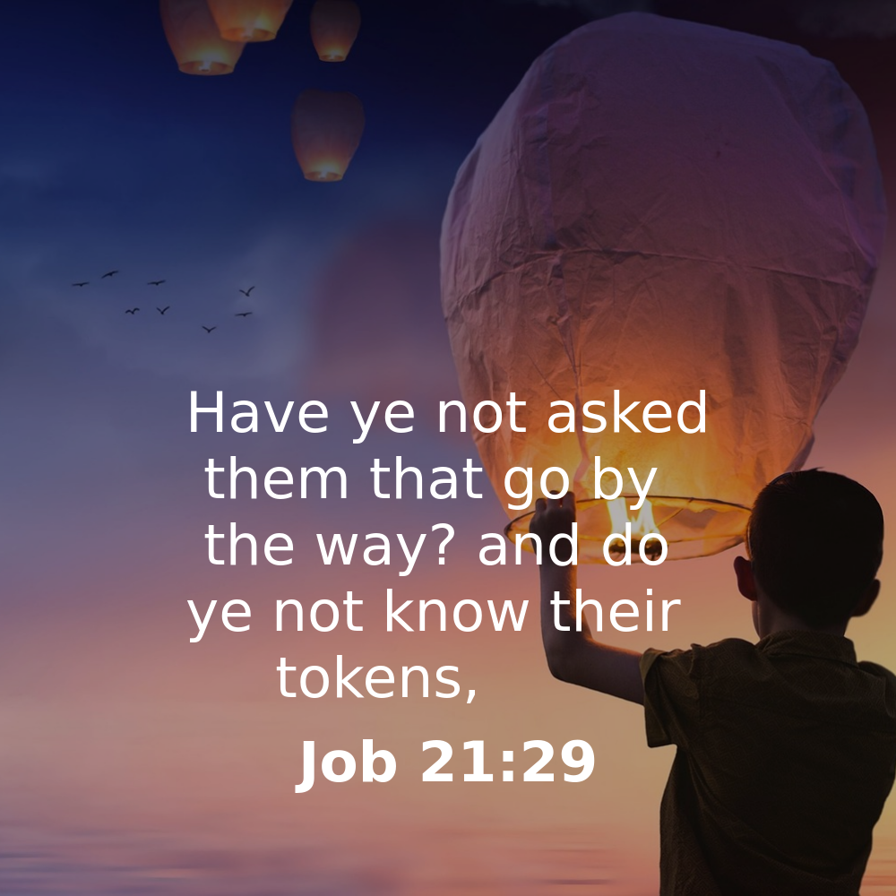 Job 21:29 - Bibleverses.net