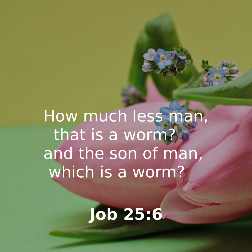 Job 25:6 - Bibleverses.net