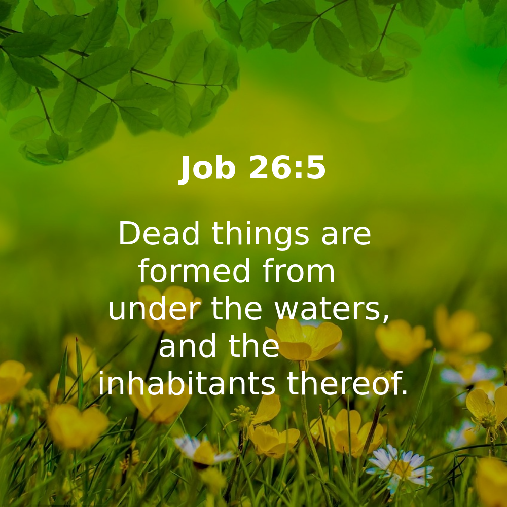 Job 26:5 - Bibleverses.net
