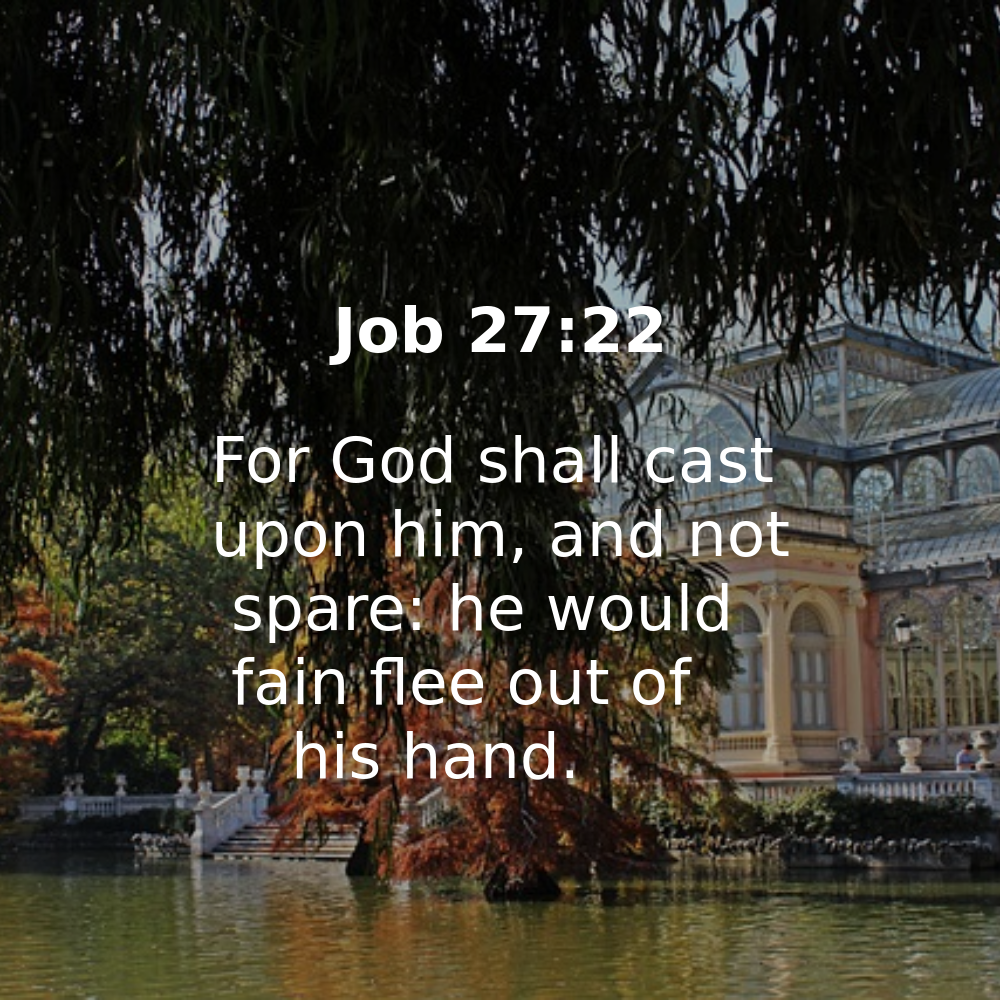 Job 27:22 - Bibleverses.net