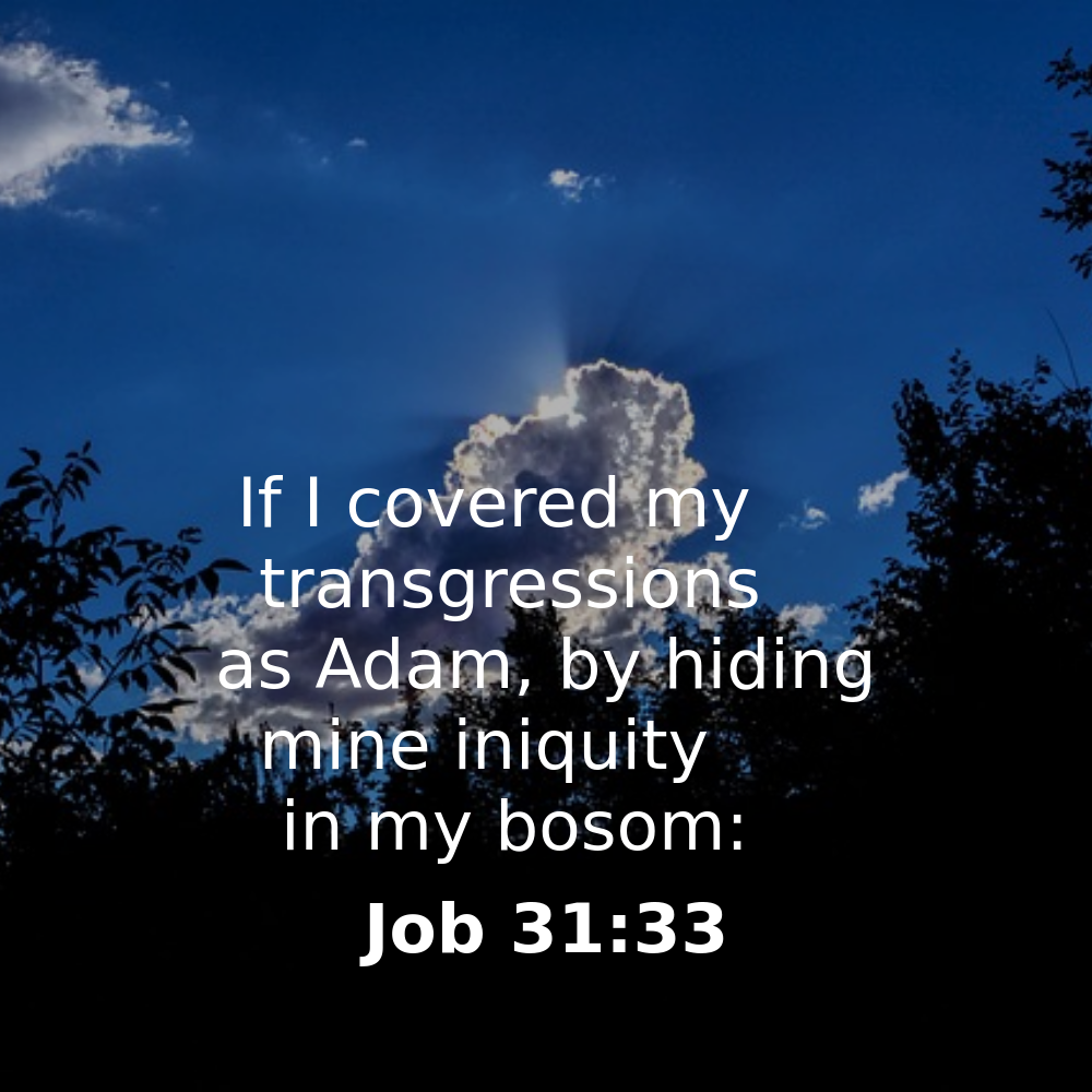 Job 31:33 - Bibleverses.net