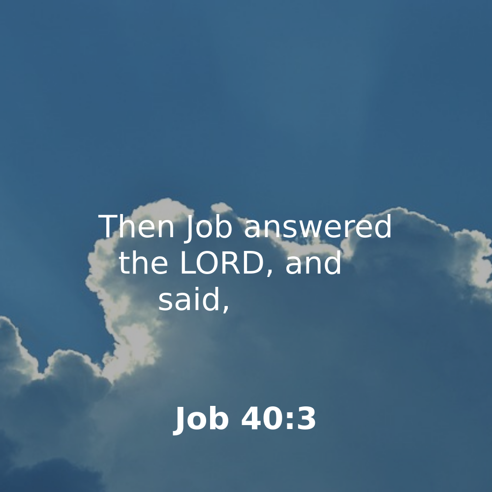 Job 40:3 - Bibleverses.net