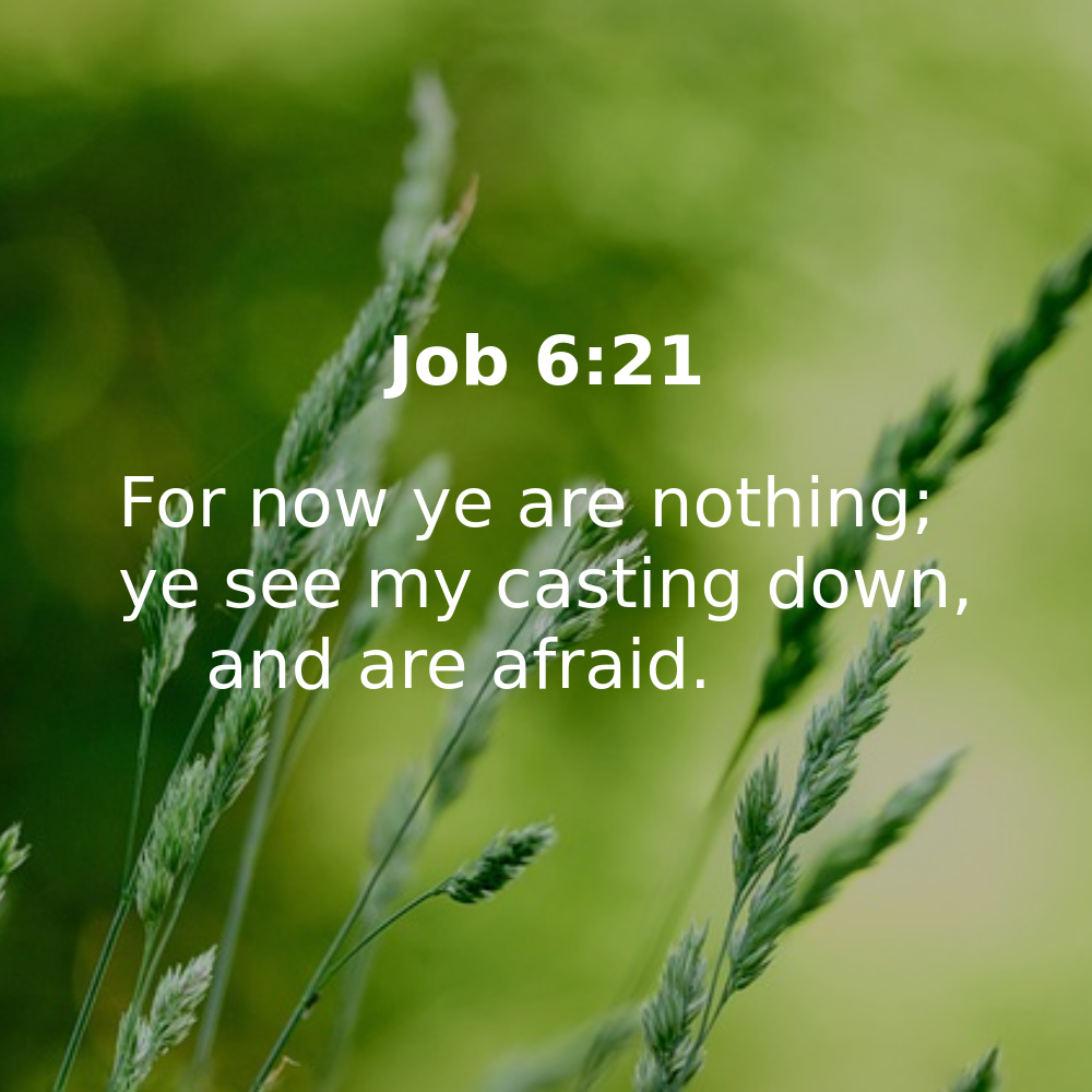 Job 6:21 - Bibleverses.net