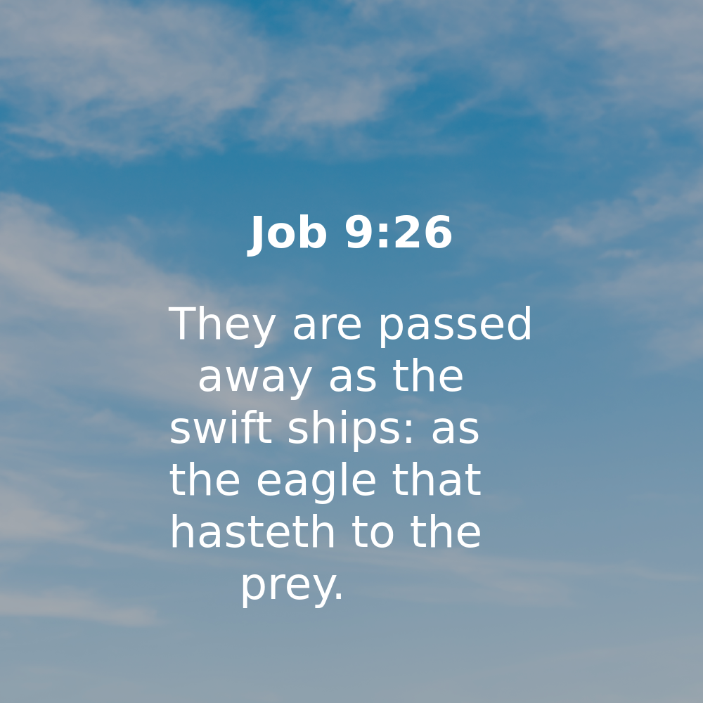 Job 9:26 - Bibleverses.net
