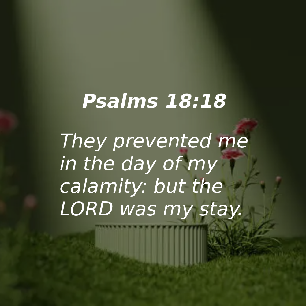 Psalms 18:18 - Bibleverses.net