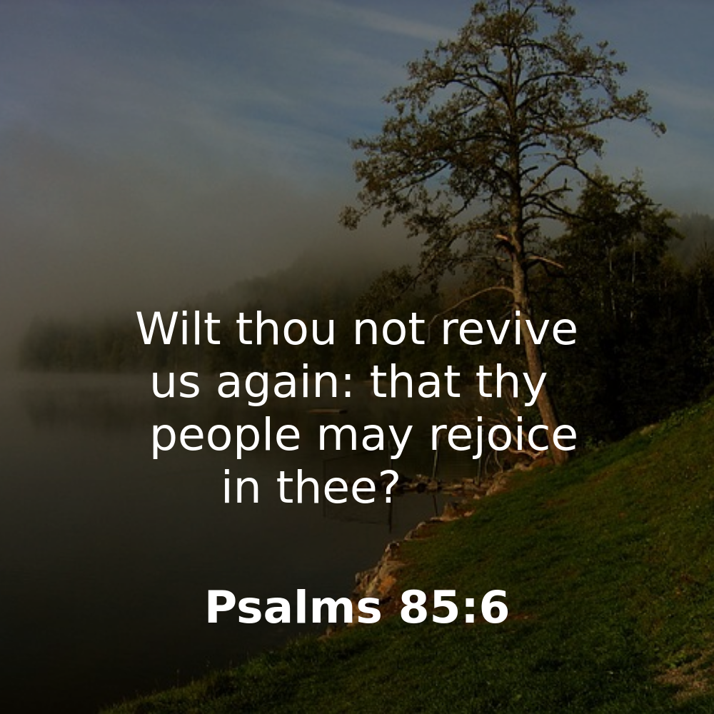 Psalms 85:6 - Bibleverses.net