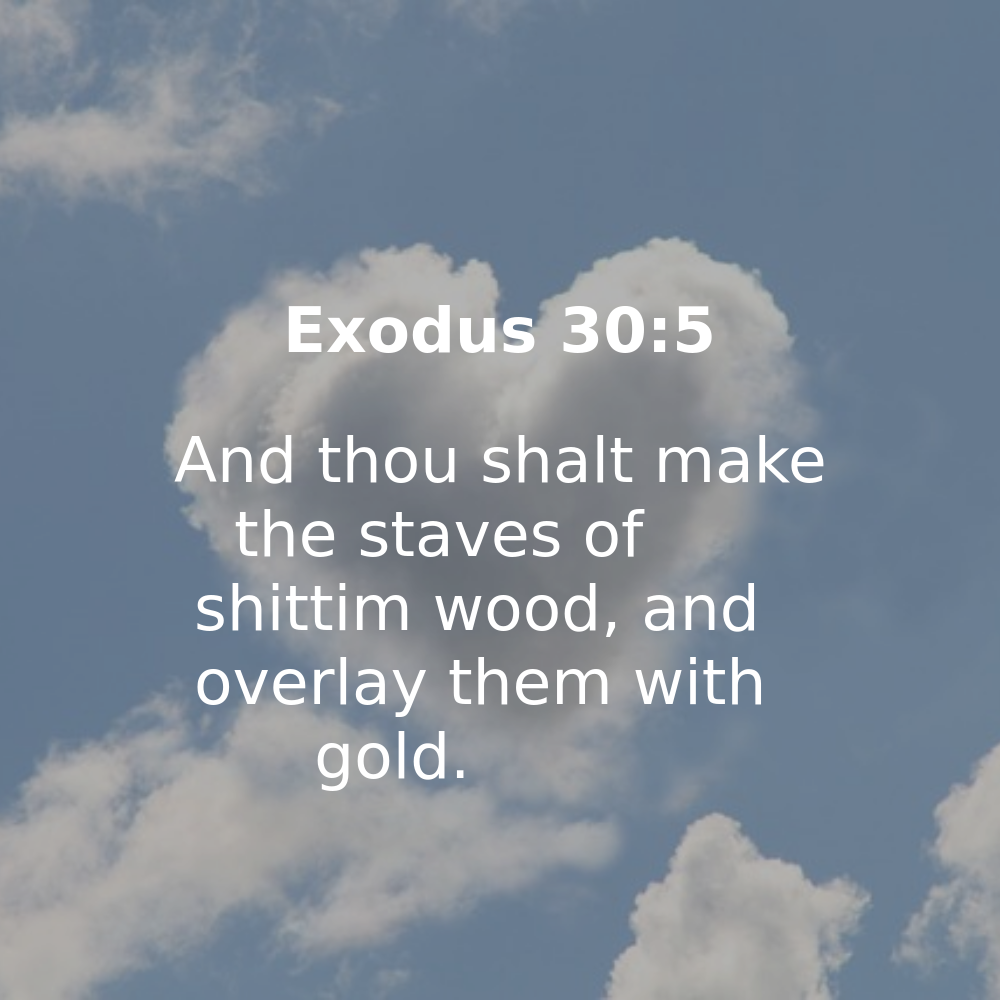 Exodus 30:5 - Bibleverses.net