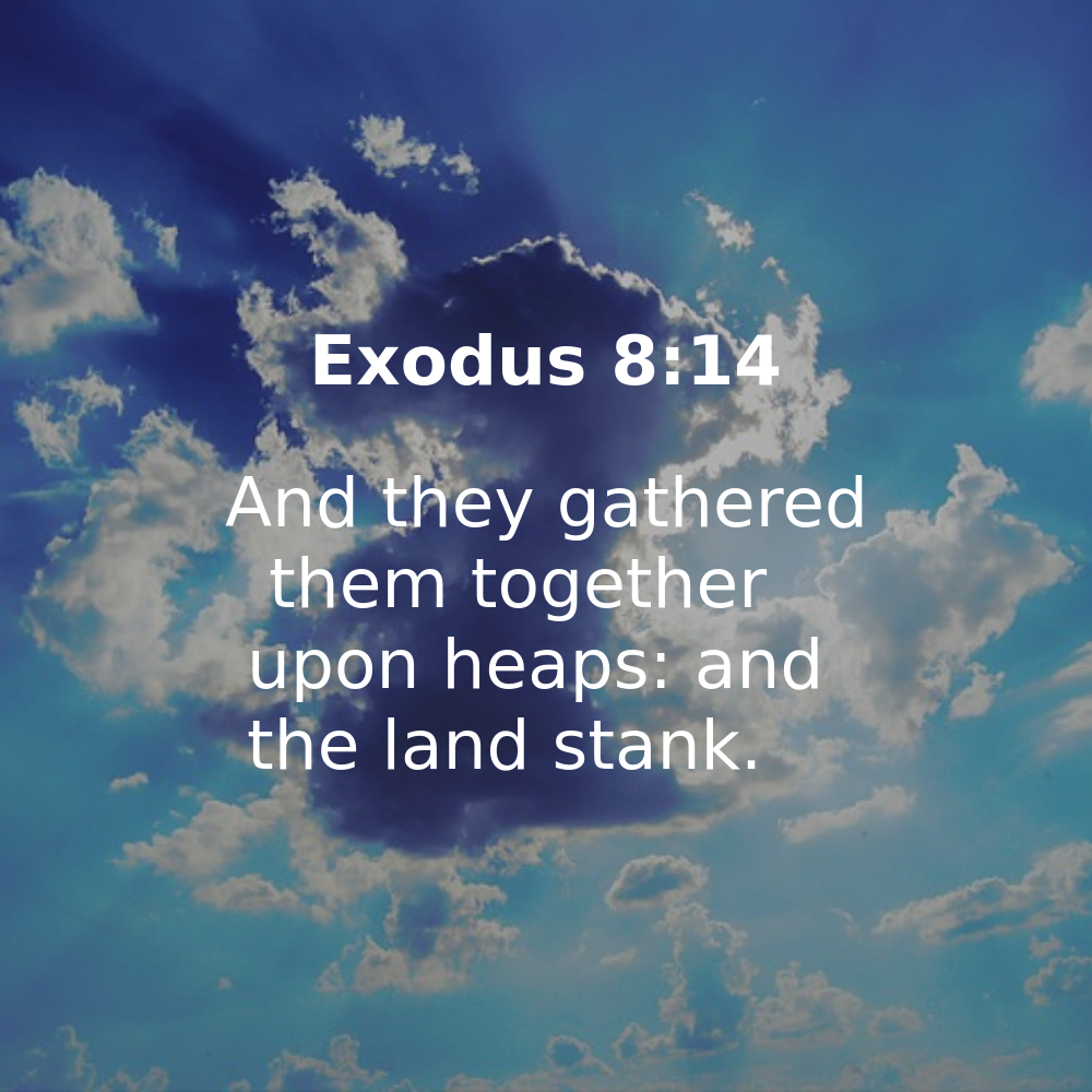 Exodus 8:14 - Bibleverses.net