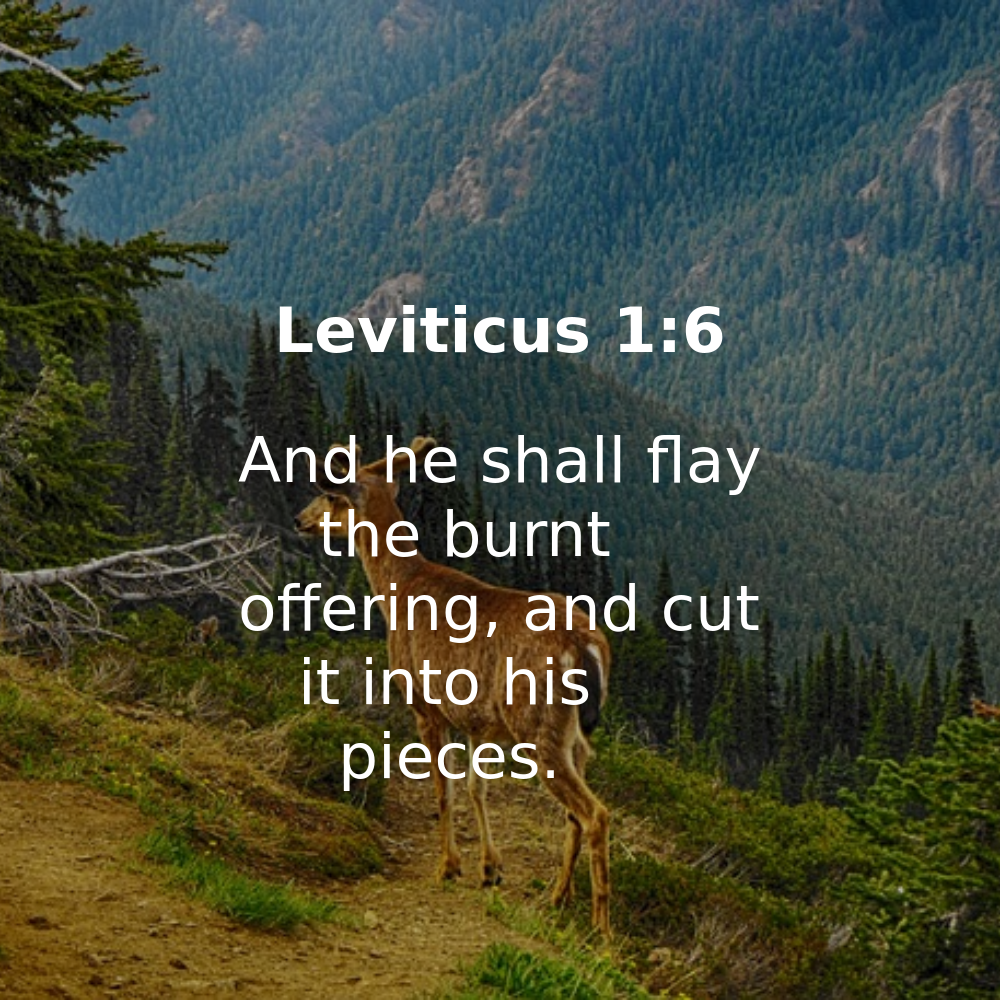 Leviticus 1:6 - Bibleverses.net