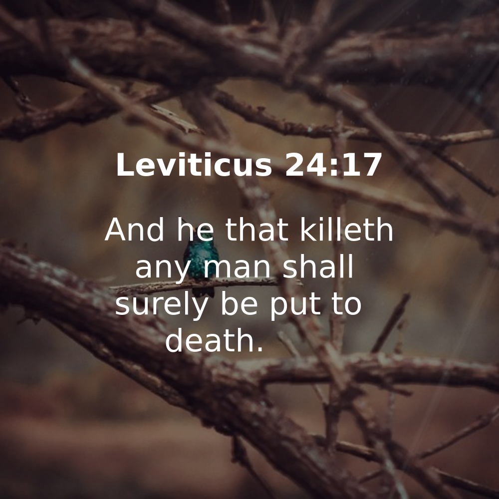 Leviticus 24:17 - Bibleverses.net