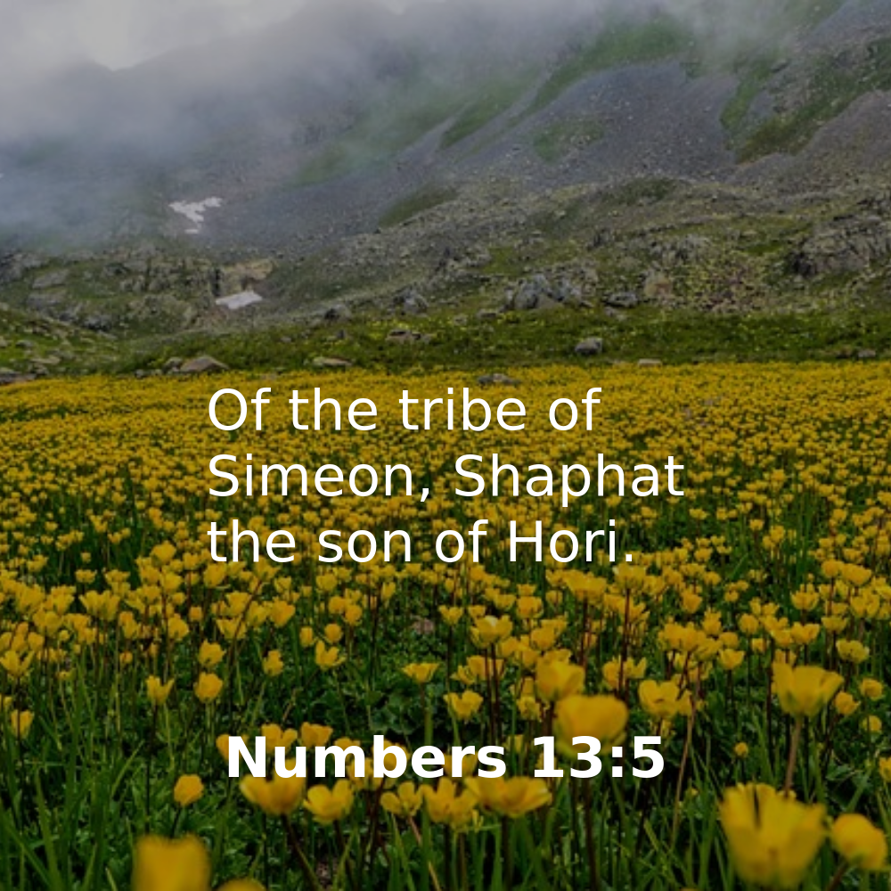 december-06-2025-daily-bible-verse-bibleverses