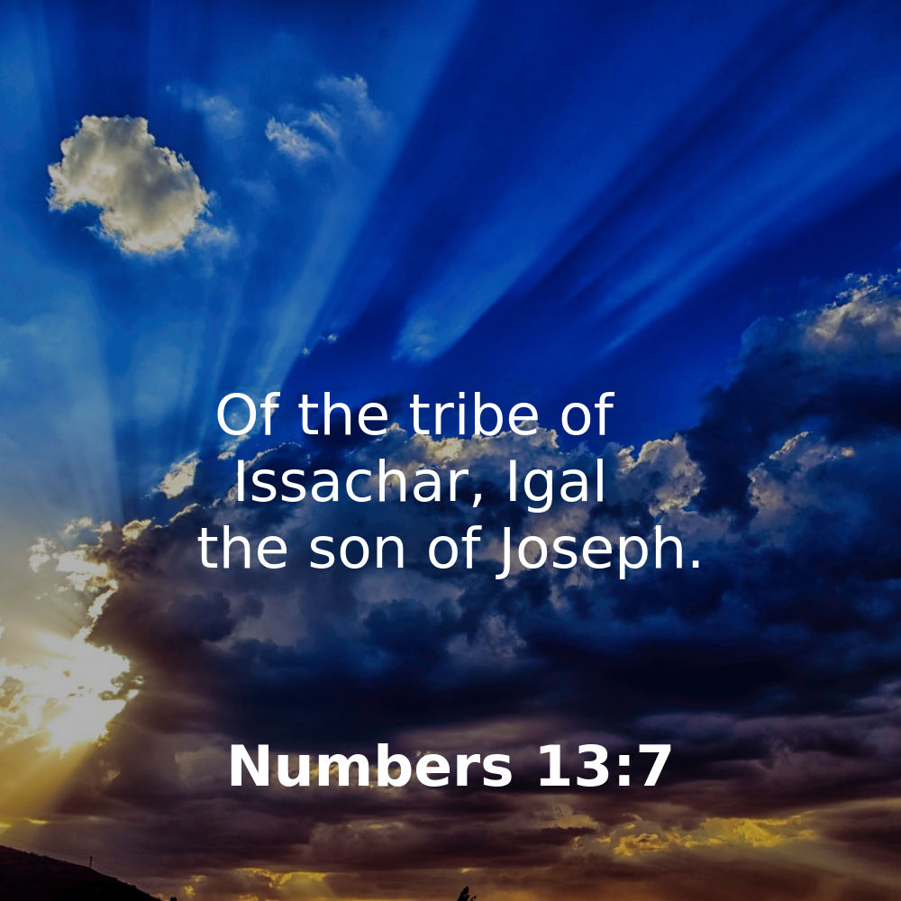 Numbers 13:7 - Bibleverses.net