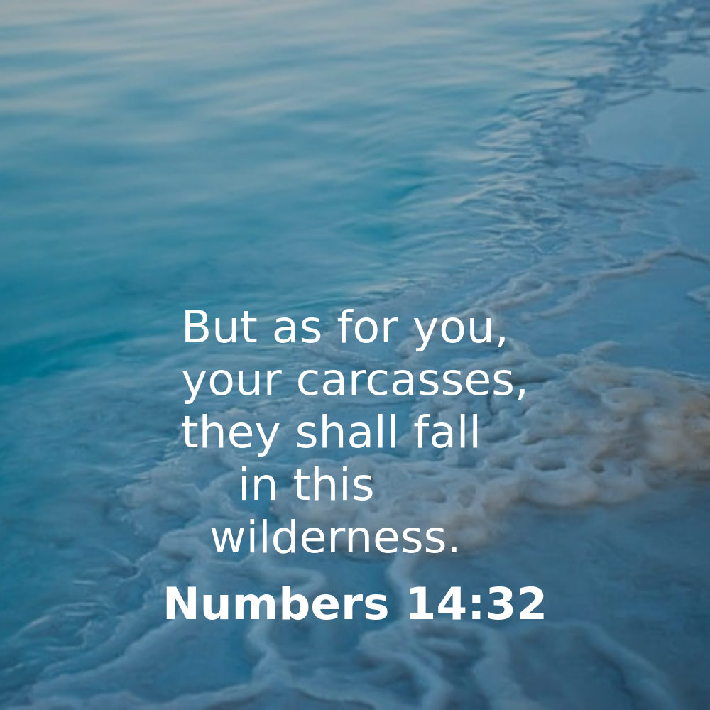 Numbers 14:32 - Bibleverses.net