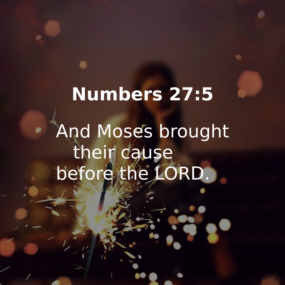 Numbers 27:5 - Bibleverses.net