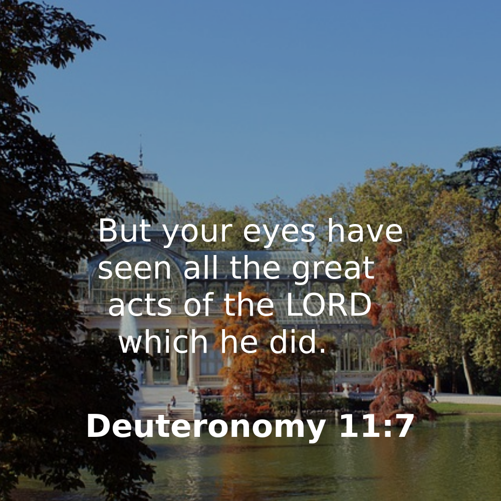Deuteronomy 11:7 - Bibleverses.net