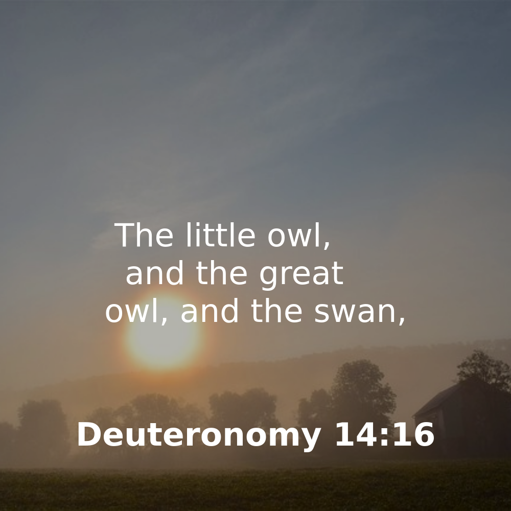 Deuteronomy 14:16 - Bibleverses.net