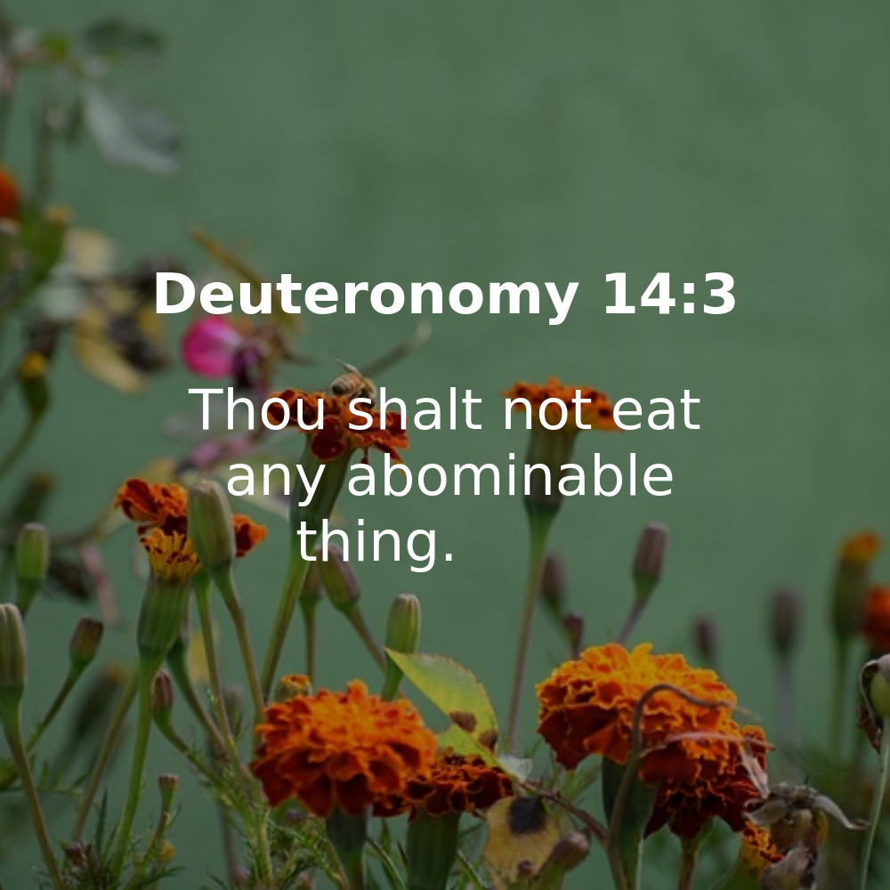Deuteronomy 14:3 - Bibleverses.net