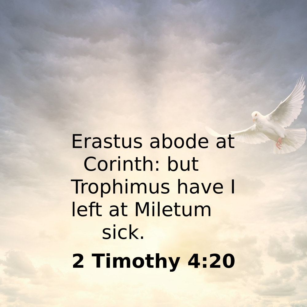 2 Timothy 4:20 - Bibleverses.net